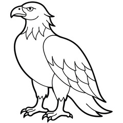 Golden Eagle full body vector illustrator, Hawk black icon, Hawk silhouette.