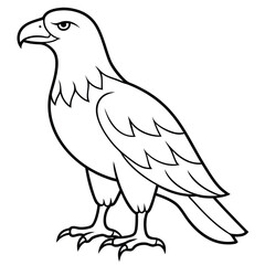 Golden Eagle full body vector illustrator, Hawk black icon, Hawk silhouette.