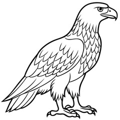 Golden Eagle full body vector illustrator, Hawk black icon, Hawk silhouette.