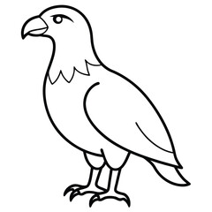 Golden Eagle full body vector illustrator, Hawk black icon, Hawk silhouette.