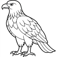 Fototapeta premium Golden Eagle full body vector illustrator, Hawk black icon, Hawk silhouette.