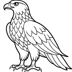 Golden Eagle full body vector illustrator, Hawk black icon, Hawk silhouette.