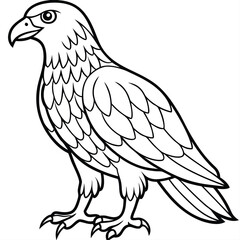 Golden Eagle full body vector illustrator, Hawk black icon, Hawk silhouette.
