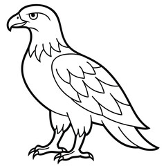 Golden Eagle full body vector illustrator, Hawk black icon, Hawk silhouette.