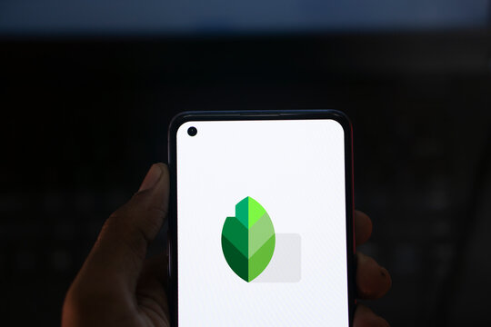 Dhaka, Bangladesh- 12 July 2024: Google Snapseed logo is displayed on smartphone.