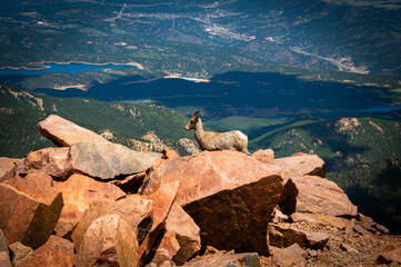 Pikes Peak 