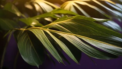  close-up view of large, overlapping tropical leaves in vibrant shades of yellow, dark green and purple