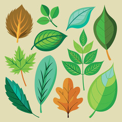 Fototapeta premium realistic collection of leaves icons