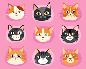 Collection of different faces of cats. Red, black, gray and calico cute cats. Tabby and calico cats. Characters. Cartoon flat illustrations of kittens. Emotions. Animal faces.