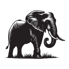 Elephant black silhouette isolated on white background