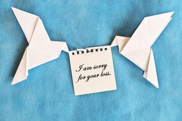 Two white dove carrying white card with sorry message in blue background. Condolence and sympathy concept.