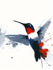 red billed hummingbird  illustration 