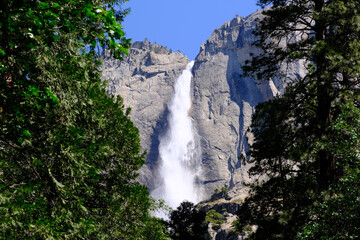 Yosemite Falls waterfall (Upper Yosemite Fall) and green trees in Yosemite National Park in California, USA
