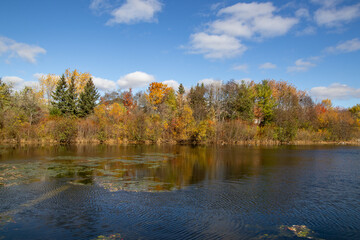 Autumn foliage reflecting on tranquil lake - vibrant fall colors amidst greenery - clear blue sky with fluffy clouds - serene water with gentle ripples. Taken in Toronto, Canada.