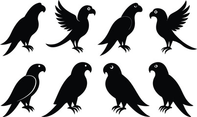 
parrot silhouettes, Parrot birds silhouette vector set
