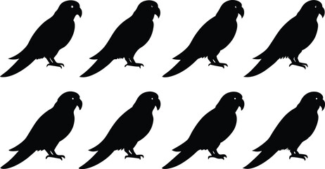
parrot silhouettes, Parrot birds silhouette vector set

