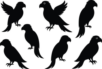 
parrot silhouettes, Parrot birds silhouette vector set
