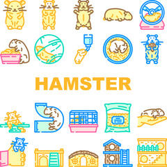 Obraz premium hamster hamster cute app pet coin icons set vector. rodent funny, syrian adorable, guinea bedding, animal little hamster hamster cute app pet coin color line illustrations