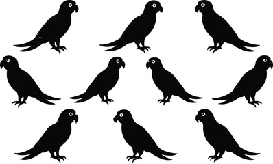 
parrot silhouettes, Parrot birds silhouette vector set

