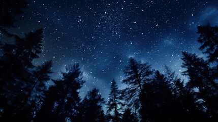 Fototapeta premium A night sky brightly lit with stars