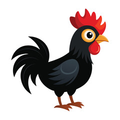 Illustration of Black rooster isolated on white