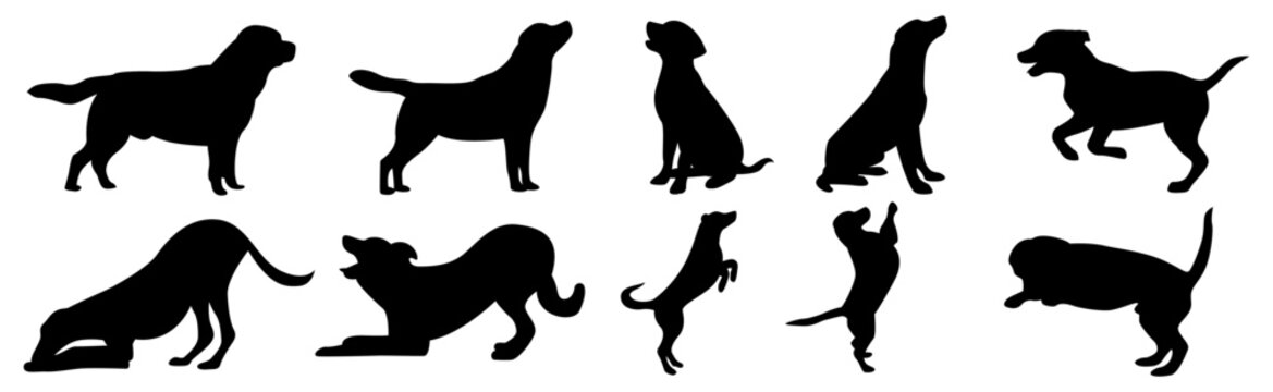 dog silhouette vector illustration collection. black silhouette on a white background showing various dog poses. ideas for pet themed designs