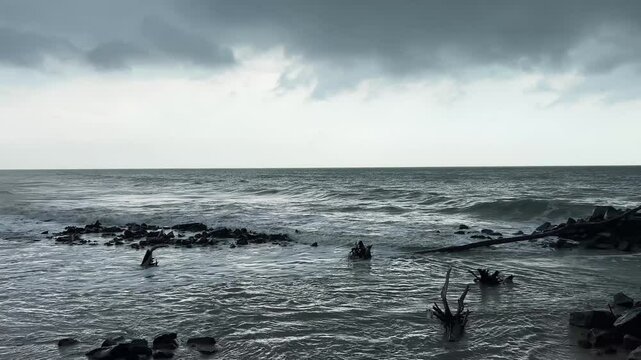 A local Indian breed dog sitting in a beach with sands in foreground