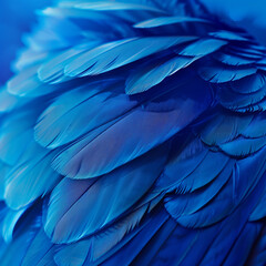 Close-Up Falling Bright Blue Feather with Abstract Background Texture, High-Resolution Blue Feather Detail and Artistic Abstract Background