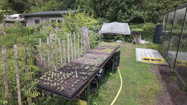 Utilizing Seedling Trays to Boost Germination Rates in Urban Community Gardens in Leiden, South Holland, Netherlands - High Angle Shot