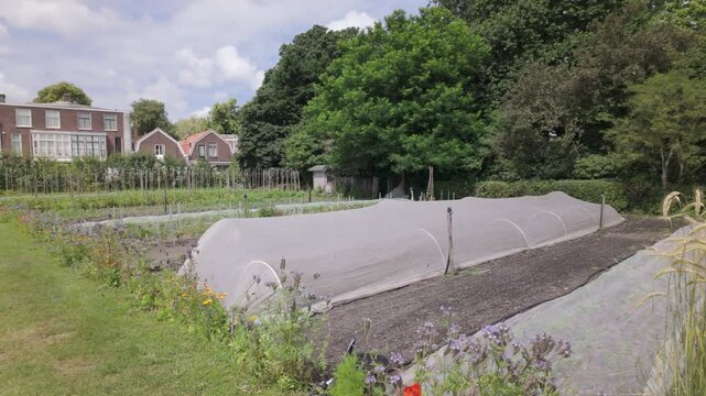 A Row Cover that Shields the Plants Beneath it in an Urban Community Garden in Leiden, South Holland, Netherlands - Pan Left Shot