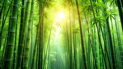 Green bamboo forest wallpaper with a serene nature background , Bamboo, Green, Forest, Nature, Wallpaper, Background