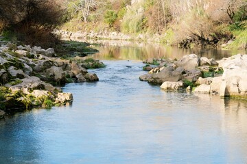 The Rangitaiki River