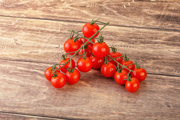 Ripe sweet Cherry tomato branch