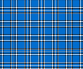 Plaid fabric pattern, blue, white, black, seamless for textiles and design clothing, skirts, pants, aprons, tablecloths, blankets or decorative fabrics. Vector illustration.
