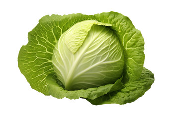 Obraz premium Fresh green cabbage head, leafy vegetable produce, crisp raw cabbage ingredient for cooking, salad and healthy diet isolated on Transparent Background