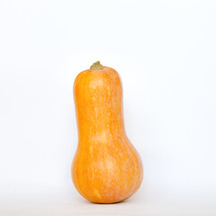 pumpkin on a light background, autumn harvest