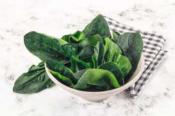 Ripe green spinach leaves heap