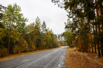 Asphalt twisty suburban road at autumn. A bend road at rural Europe. The bright colors of fall