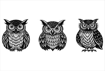 modern owl white and black color vector design.