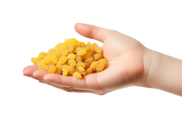 Fototapeta premium Macro handful of yellow raisins in human hand, dried fruit snack ingredient close-up, healthy food concept png isolated on Transparent Background