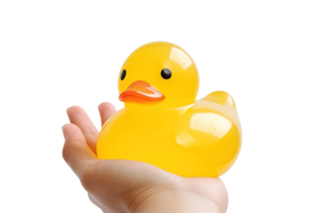 The Joyful Encounter With a Small Yellow Rubber Duck in a Hand on White or PNG Transparent Background.