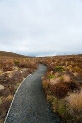 hiking path in the mountains on a cloudy day.