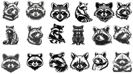 Exploring Wildlife through Raccoon Vector Art