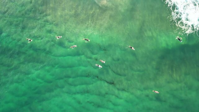 Top-down aerial view of surfers waiting for waves on the Gold Coast