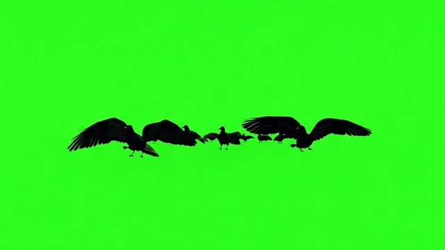 A green background With a flock of birds flying.