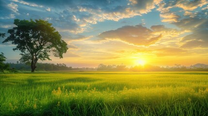 Obraz premium Free good morning scene wallpaper background photo