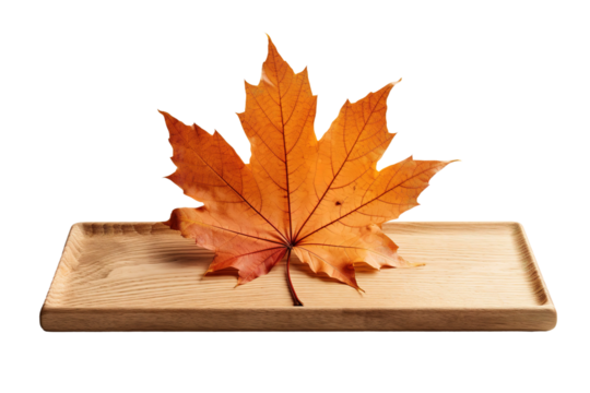 Autumns Embrace on White or PNG Transparent Background.