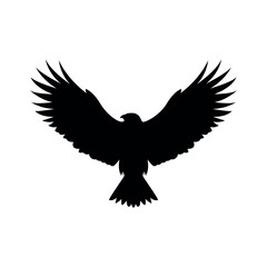 silhouette with the image of an eagle on a white background