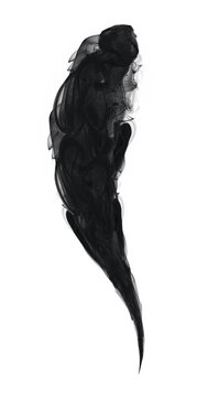 Smoke flow looping effect on white overlay background. Motion content for your design.