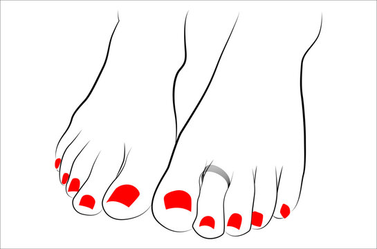 Beautiful Indian woman feet with toe ring and red nails line drawing isolated on white background - vector illustration